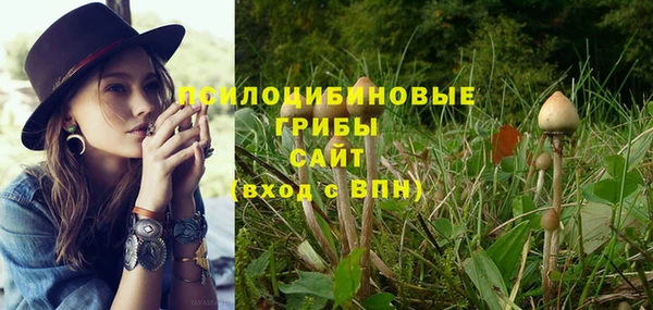 ешки Белоозёрский