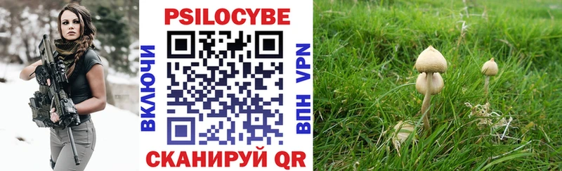 Галлюциногенные грибы GOLDEN TEACHER Полесск
