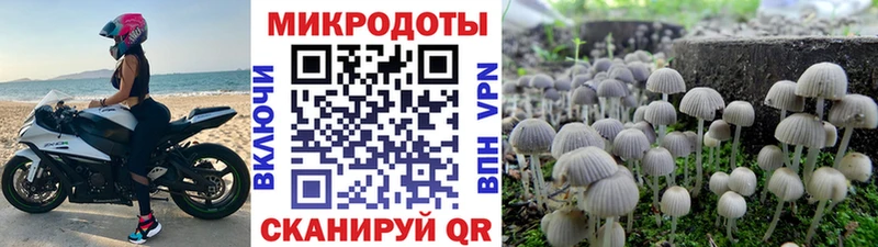 Псилоцибиновые грибы Cubensis  продажа наркотиков  Полесск 