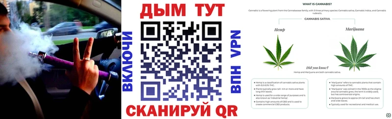 Бошки марихуана гибрид  где купить наркоту  Полесск 